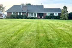 Grass-Cutting-10