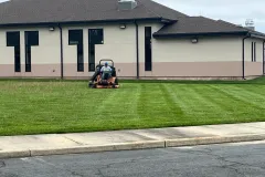 Grass-Cutting-5