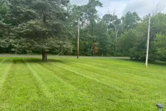 Grass-Cutting-6