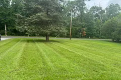 Grass-Cutting-7