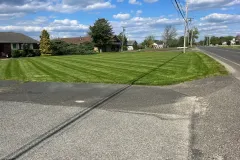 Grass-Cutting-9