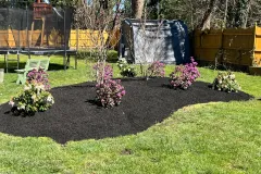Mulching_FlowerBed1