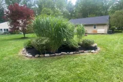 Mulching_FlowerBed6