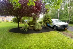 Mulching_FlowerBed7