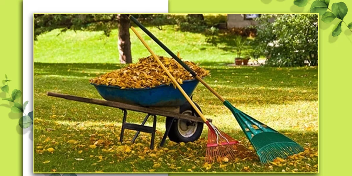 Spring and fall cleanup