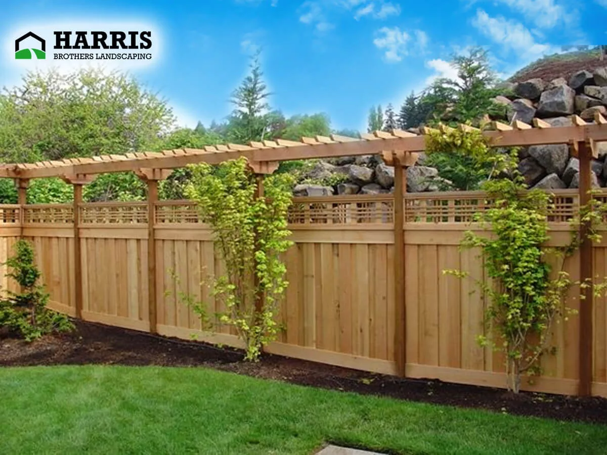 A Guide to Hiring Professional Lawn Fencing Companies
