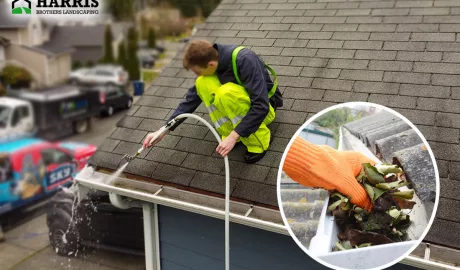 The Challenges Of Gutter Cleaning For Amateurs In Hammonton