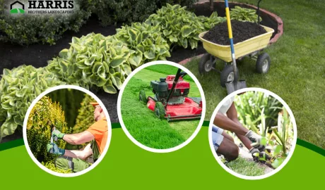 How Yard Maintenance Services Promote Sustainable Agriculture