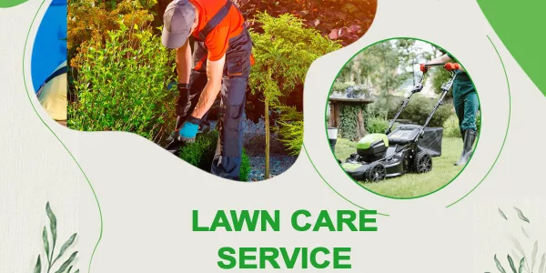 Pick the right commercial lawn care packages that save you extra bucks