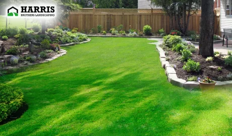 Lawn Care Services - The Perfect Way To Change Your House’s Landscape