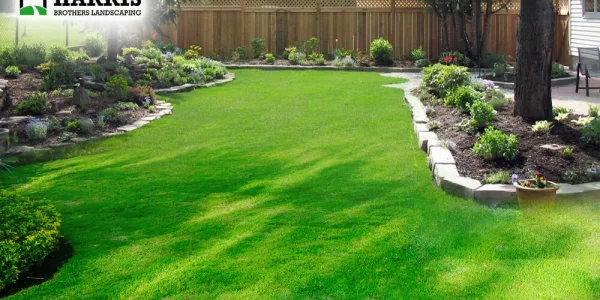 Lawn Care Services - The Perfect Way To Change Your House’s Landscape