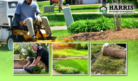 Affordable Lawn Care with Monthly Service