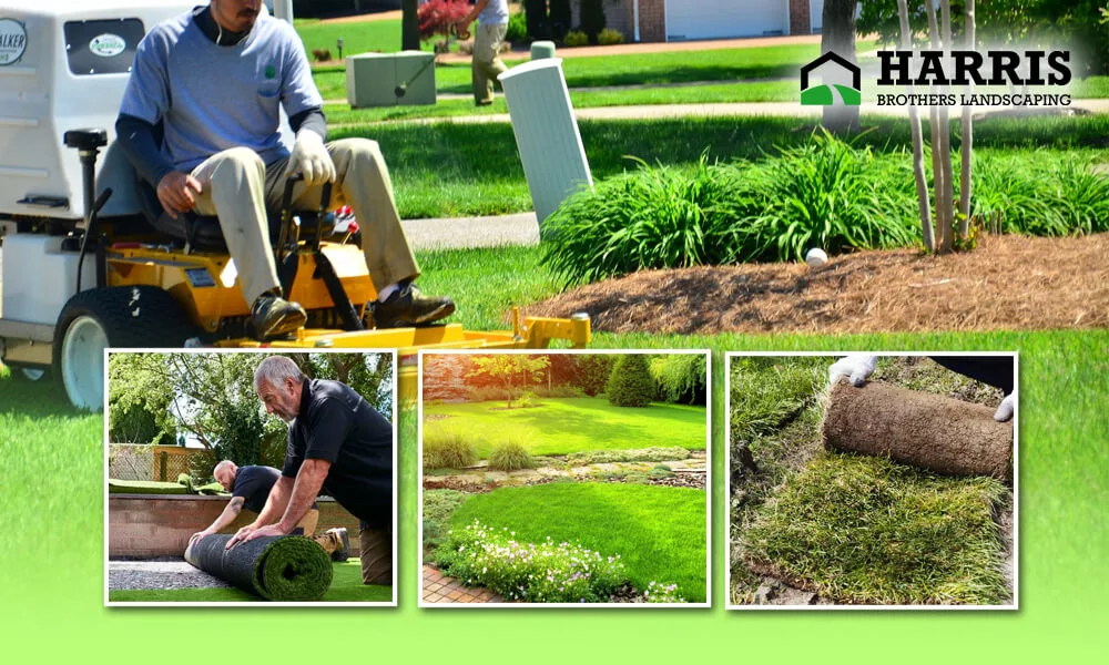 Affordable Lawn Care with Monthly Service
