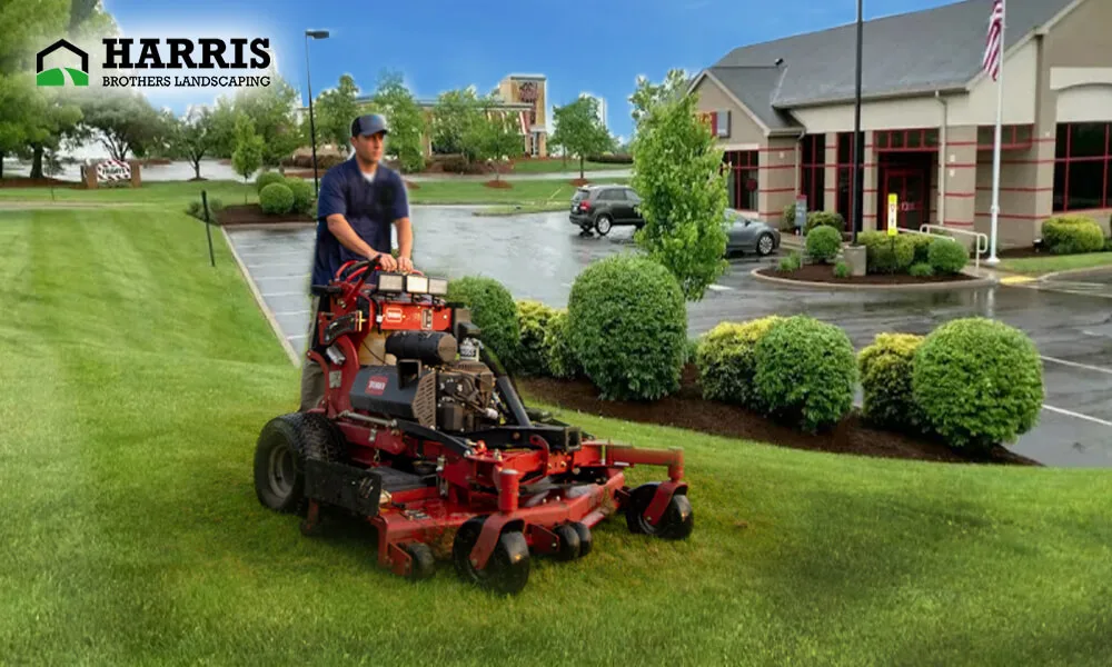 Why Professional Lawn Care is Worth the Investment