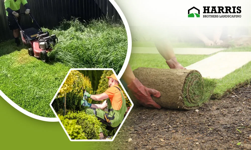 Why Spring And Fall Cleanup In Hammonton Is Always High On Demand?