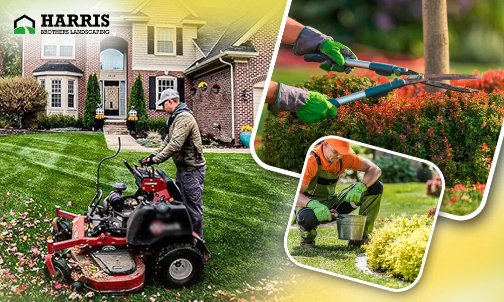 Make a Home Worth Living with an Excellent Yard