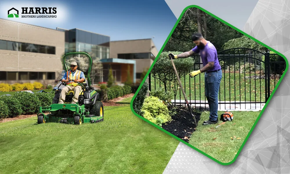 How Is Commercial Landscaping Vital In Numerous Ways?