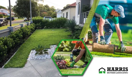 Rejuvenating Outdoor Spaces through Professional Landscaping Service Moorestown