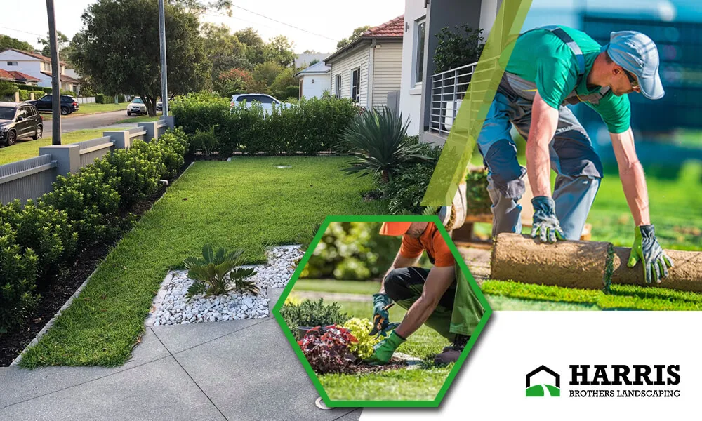 Rejuvenating Outdoor Spaces through Professional Landscaping Service Moorestown