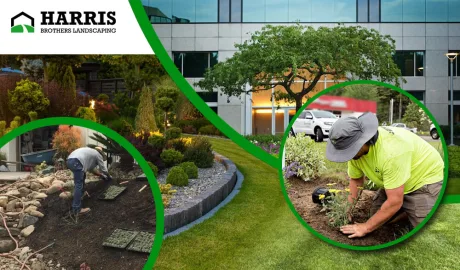 Revitalizing Outside Business Properties through Commercial Landscaping Haddonfield