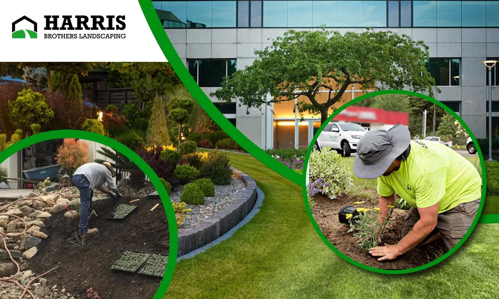 Revitalizing Outside Business Properties through Commercial Landscaping Haddonfield