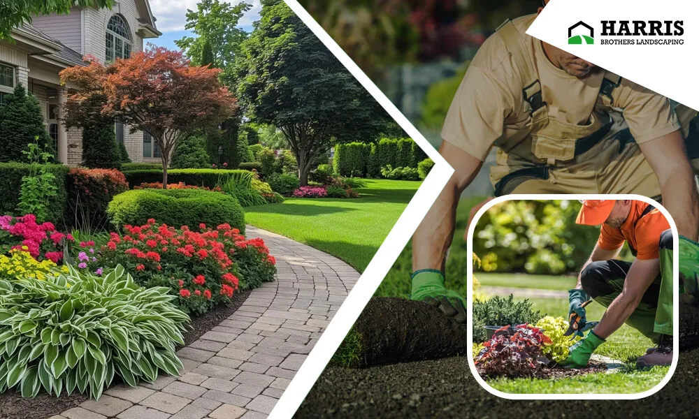Boosting Property Appeal with Professional Landscaping