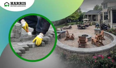 Pavers and Their Growing Demand: Best & Affordable Installation Services