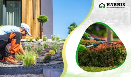 Renovating Outdoor Areas with Professional Landscaping