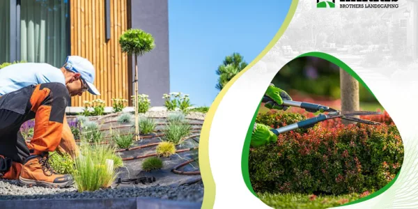Renovating Outdoor Areas with Professional Landscaping