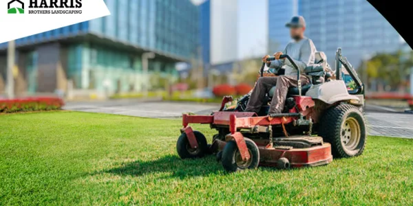 Top Reasons to Hire a Professional Lawn Care Expert