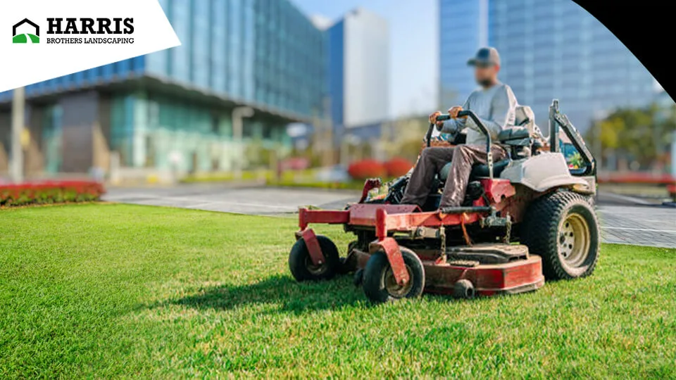 Top Reasons to Hire a Professional Lawn Care Expert