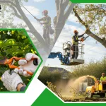 Tree Pruning