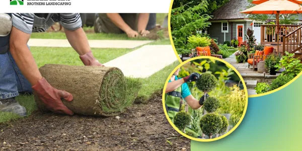 Professional Landscaping in Medford & Haddonfield