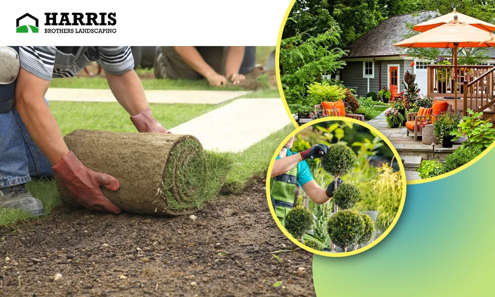 Professional Landscaping in Medford & Haddonfield