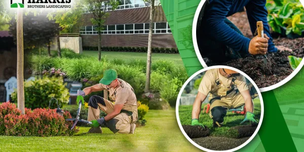 Why Your Business Needs a Commercial Landscape Maintenance Company