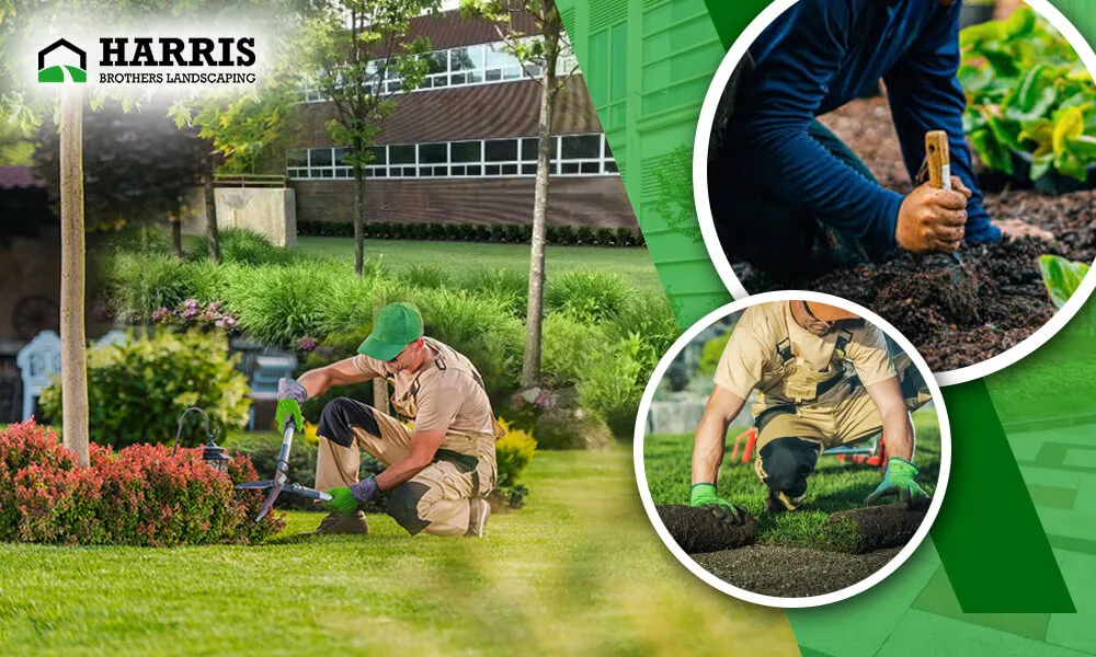 Why Your Business Needs a Commercial Landscape Maintenance Company