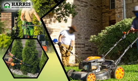 How Regular Lawn Care Boosts Your Home's Curb Appeal