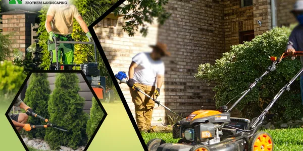 How Regular Lawn Care Boosts Your Home's Curb Appeal