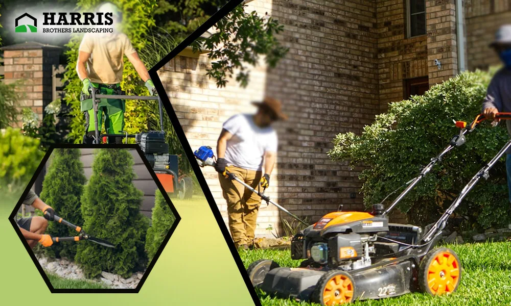 How Regular Lawn Care Boosts Your Home's Curb Appeal