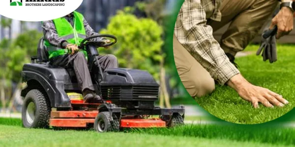 Why Professional Commercial Lawn Care Matters for Your Business