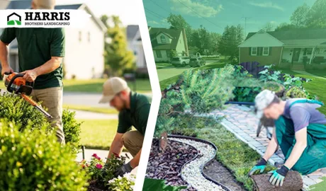landscaping company near Hammonton