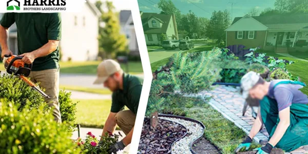 landscaping company near Hammonton